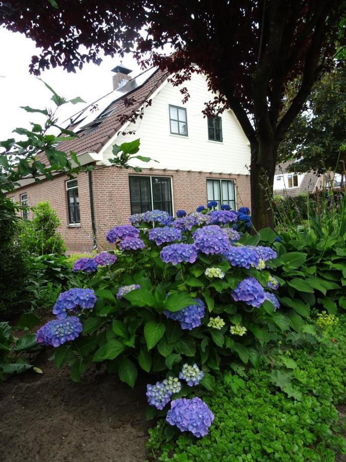 Bed & Breakfast De Vrijheid Ede Exteriör bild
